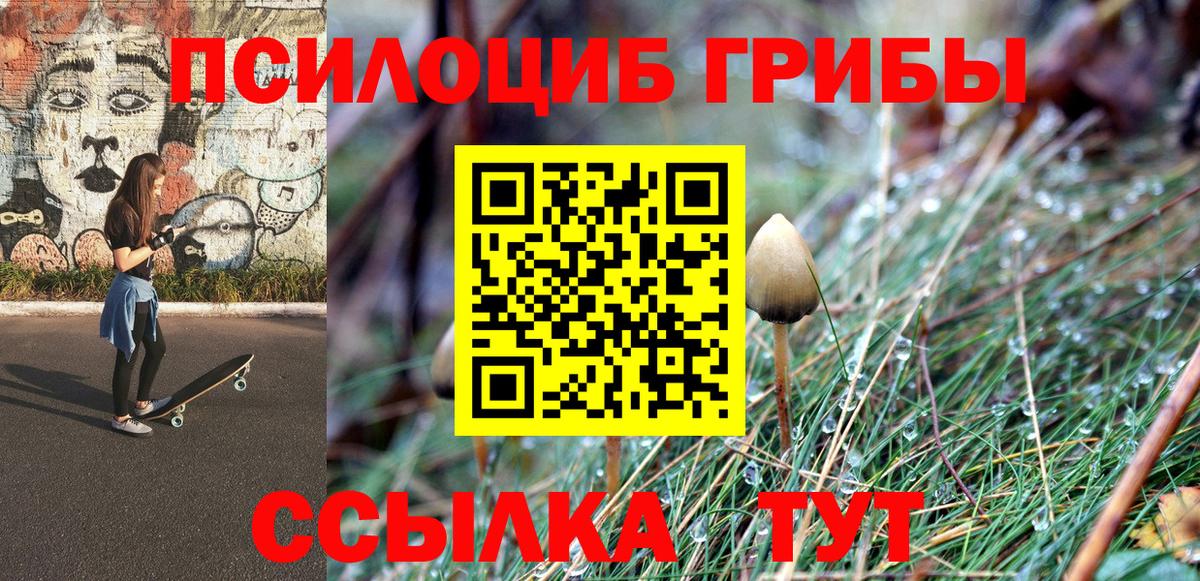 Псилоцибиновые грибы Magic Shrooms Бор