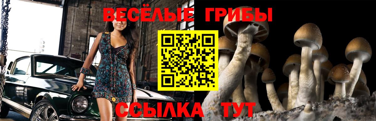 Бор  Галлюциногенные грибы ЛСД  Вход с VPN 